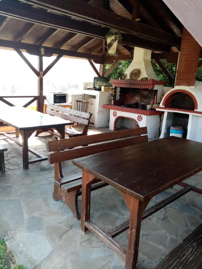 הוילה ליטוחורון Olympos House מראה חיצוני תמונה