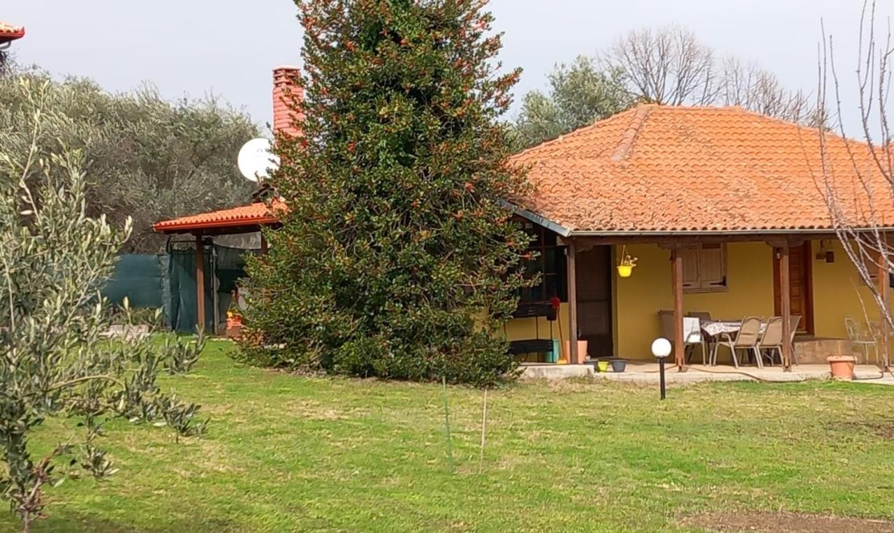 הוילה ליטוחורון Olympos House מראה חיצוני תמונה